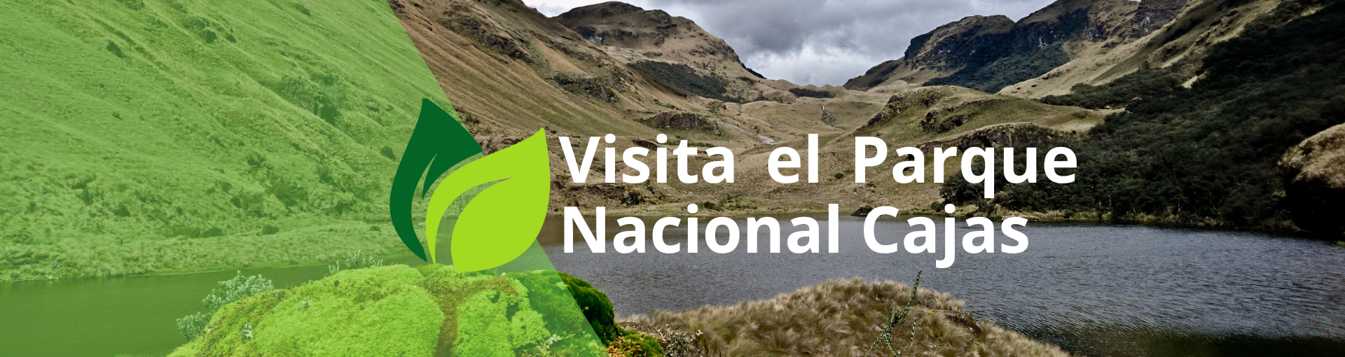 Visita el Parque Nacional Cajas